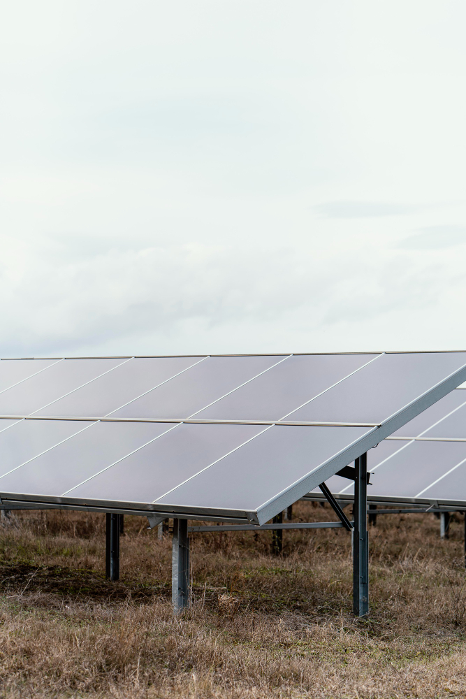 placas solares para empresas campo